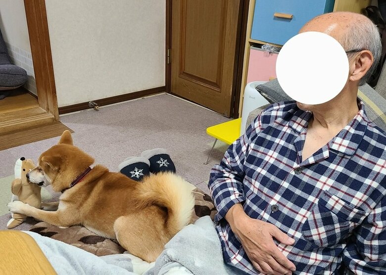おもちゃで遊ぶ麦くんと、それを見つめるお父さん