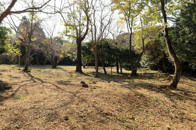 徳川家康別陣の曲輪。3棟の掘立柱建物跡が確認されている