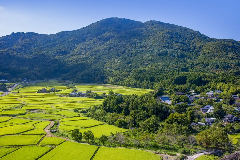“手入れ”された田んぼがある風景（イメージ）