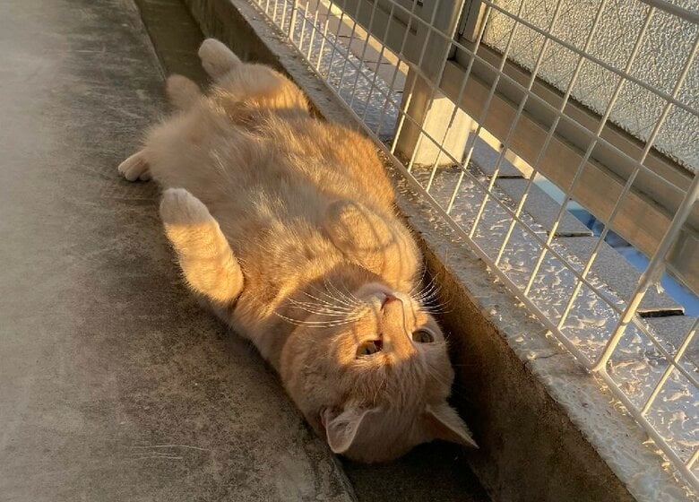 いい幅見つけたね