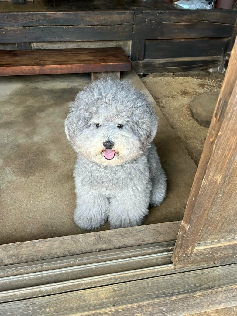 提供：レノン&れあるさん