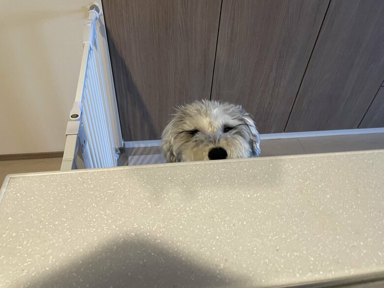 何かを覗いている