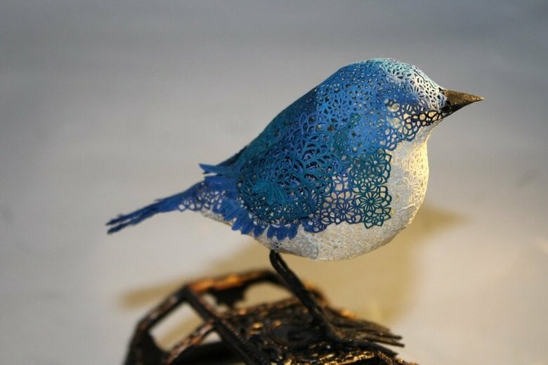 別角度から見た「コルリ」