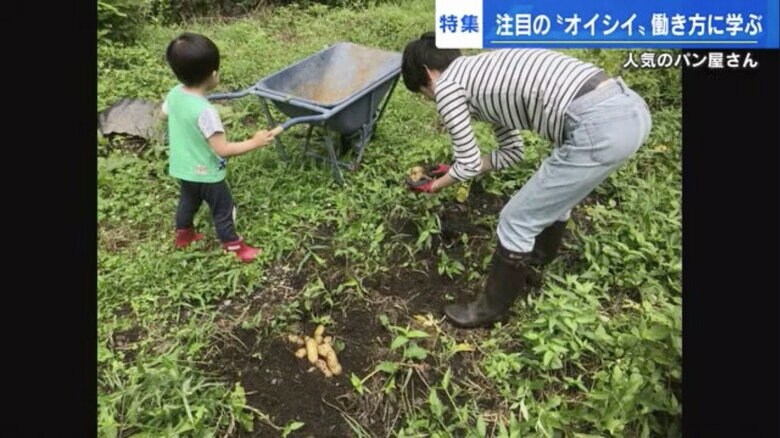 初めての収穫物はジャガイモ