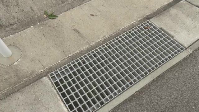 約35キロあるというグレーチング