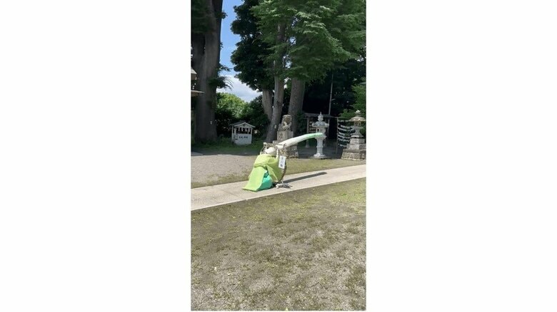 （出典:有鹿神社）