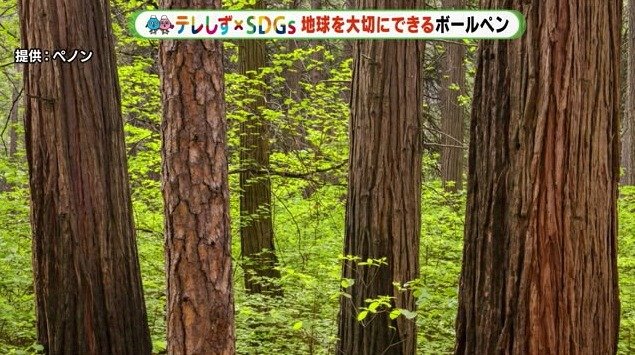 森林認証を受けたカリフォルニア産ヒノキが使われている