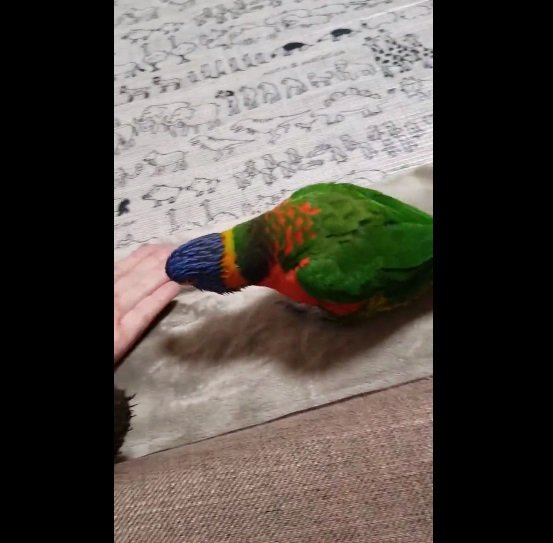 もう一度近付いて