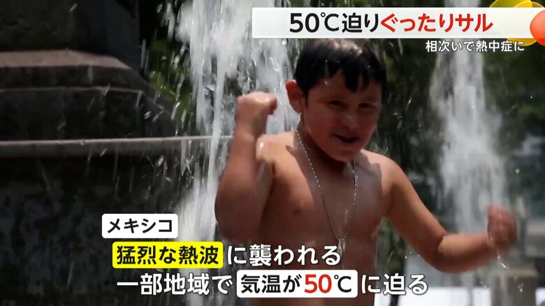 猛烈な熱波で気温50℃に迫る地域もあるという