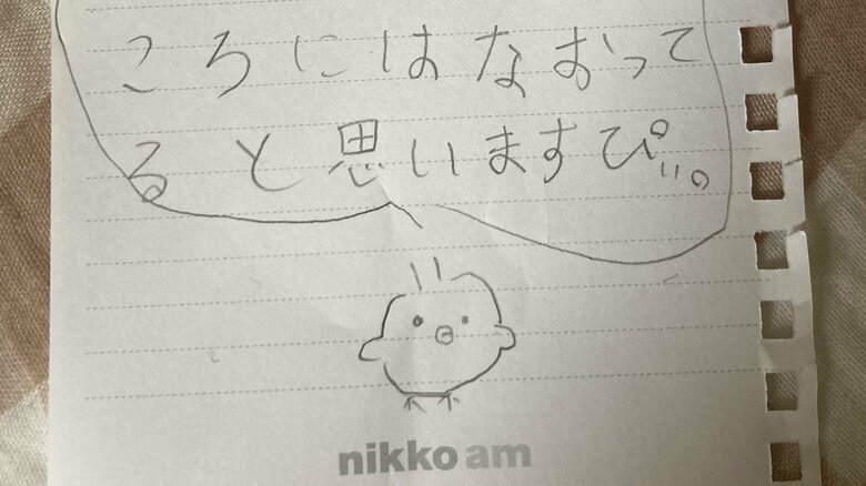 可愛らしいヒヨコまで（画像提供：どまんナカぐらしさん）