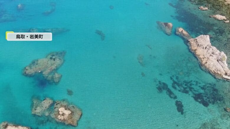 エメラルドグリーンの岩美町の海