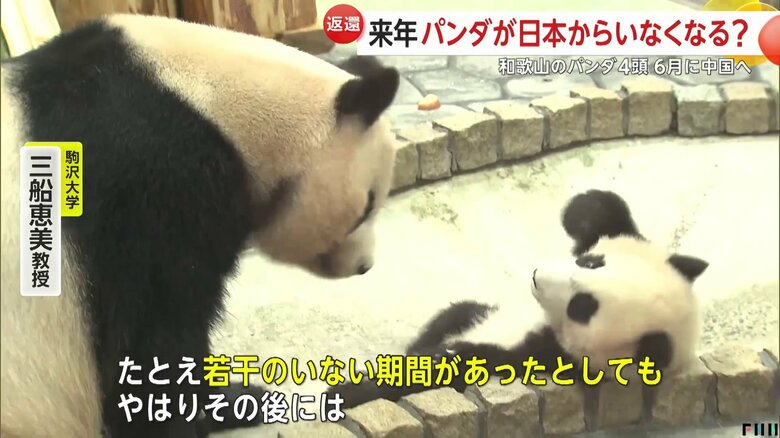 日本は「パンダ外交が実に有効的に機能している国家」と専門家