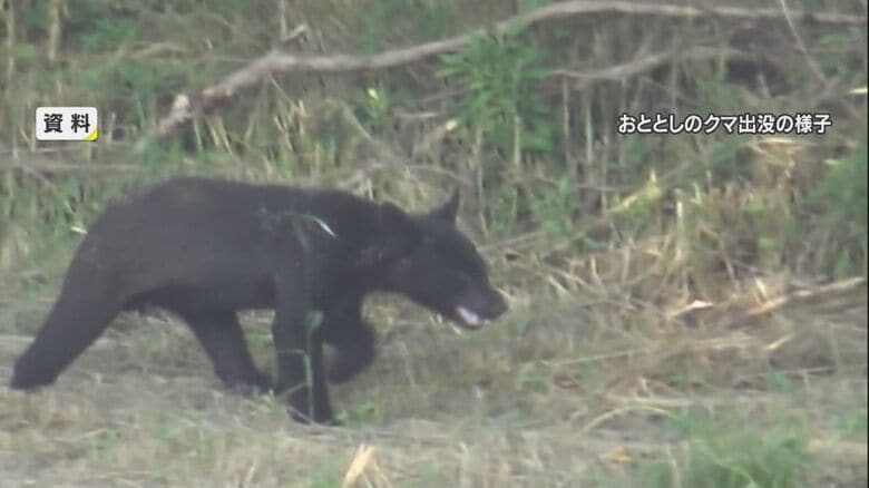 2020年に県内で目撃されたクマ