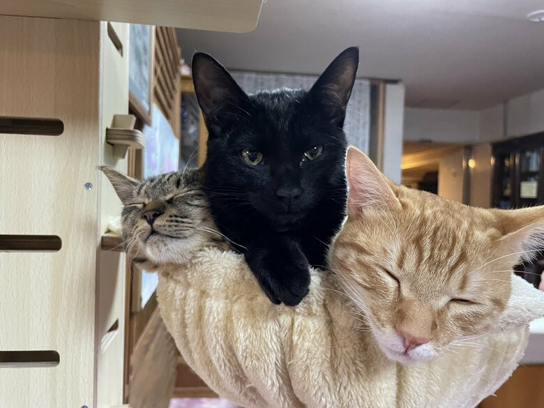 幸せそうな表情