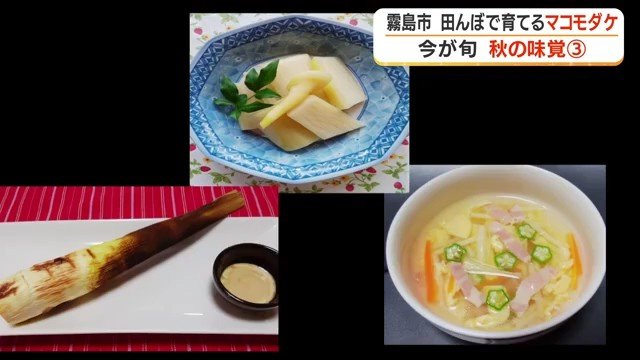 マコモダケを使った様々な料理