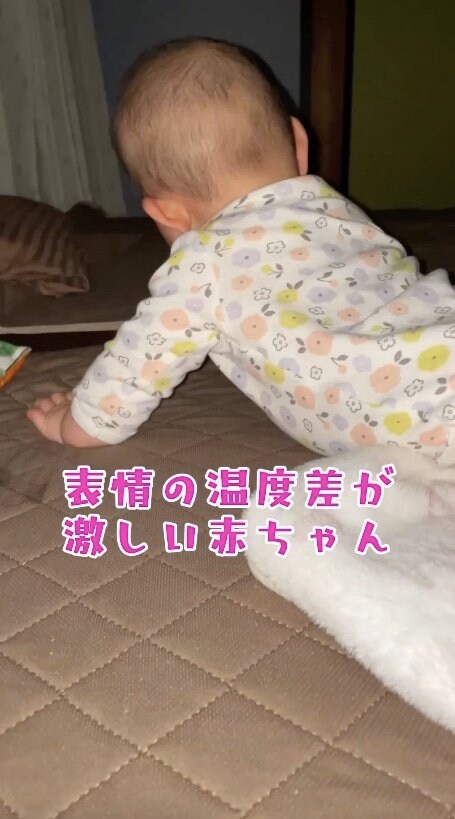 提供：とこ地蔵ちゃんさん