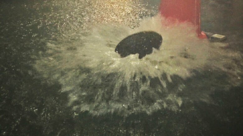 マンホール