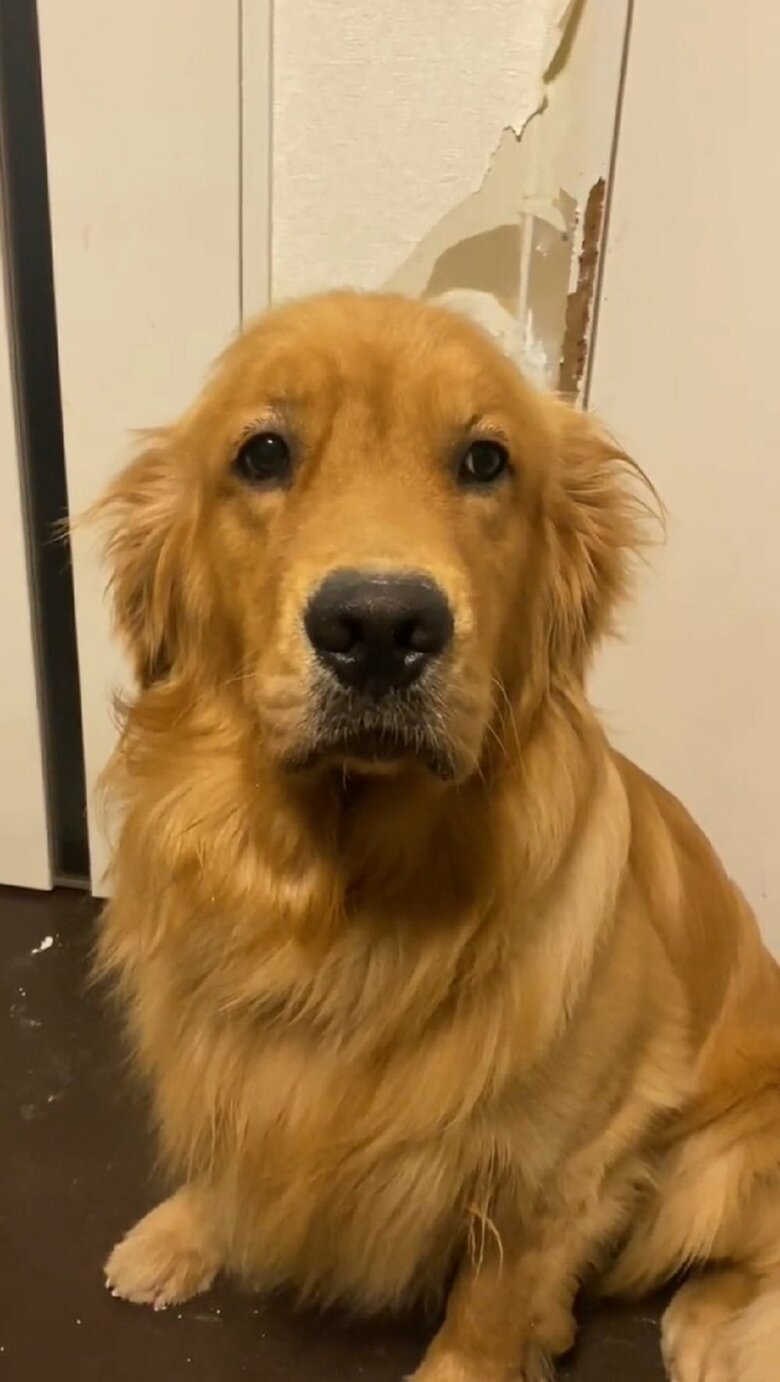 視線をあっちへ、こっちへと