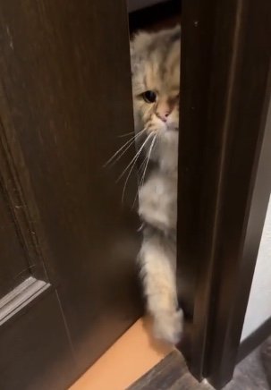 提供：ひなたさん