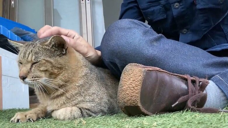 周囲から愛されている