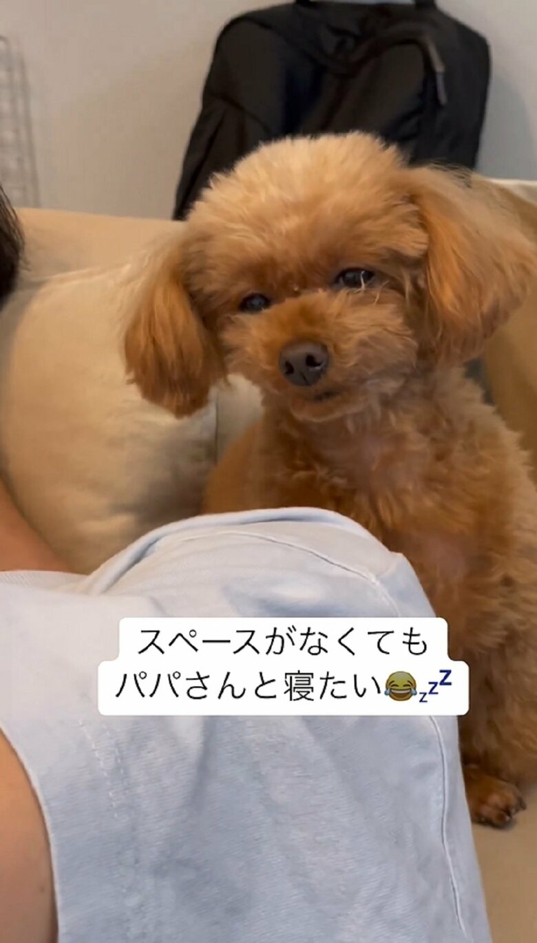 ルルくんは1度起きるも…