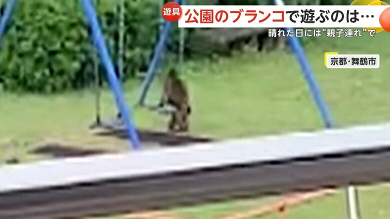 早く代わってと、まるで人間のようなそぶりを見せるサル④