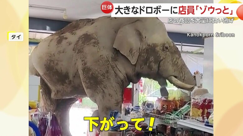 「下がって！下がって！」と必死に声を上げていた食料品店の店員