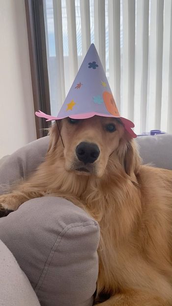 提供：西村 まひろさん