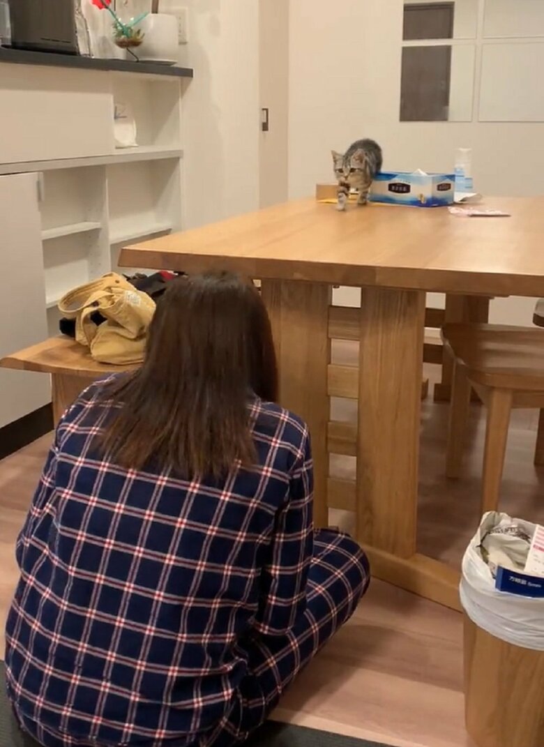 また飼い主さんが顔を隠すと、あんこくんが動く