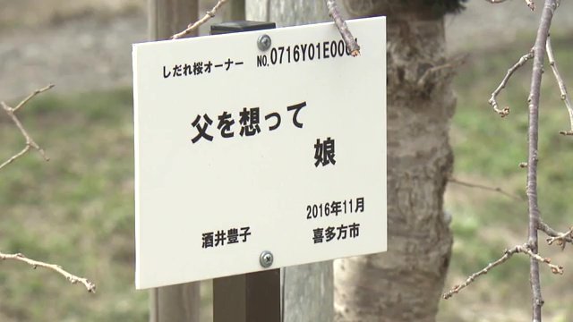 木に添えられたメッセージ