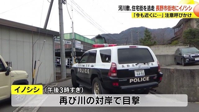 パトロール