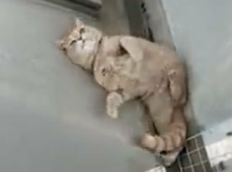 溝にハマる気分じゃない
