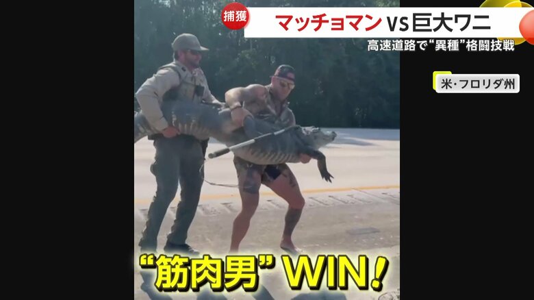 見事ワニを捕らえたマッチョマン