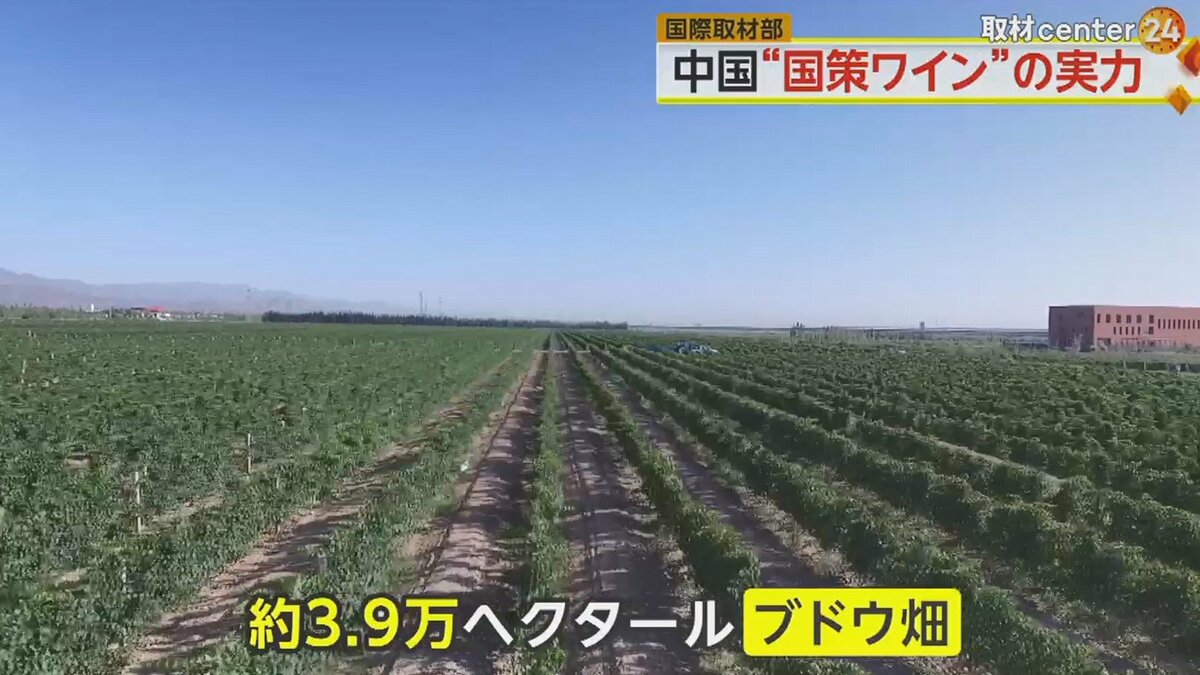 中国「国策ワイン」が世界進出へ 習近平氏が自ら旗振り…そのお味は
