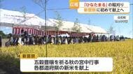 天皇陛下に献上される新米「ひなたまる」初の大役へ 白石町で稲刈り【佐賀県】