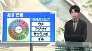 【天気／山形】天気ふりかえり＆二十四節気“芒種”の「芒」持つ植物は？　中村友祐気象予報士の予報(1)