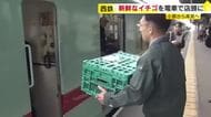 ブランドイチゴ「あまおう」が西鉄電車に乗って…沿線の産地からスーパーに届けます　新鮮なまま運んで販売　福岡