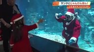 水槽の中にサンタさん登場　水族館『SATOUMI』で150人がじゃんけん大会【土佐清水市】