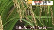 収獲適期なのに…雨続きで稲刈りできず・収穫遅れによる品質低下を懸念　中村気象予報士の稲刈り予報　山形