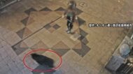 宇都宮中心部でクマ目撃相次ぎ宇都宮大学の全学部が休講に　市内の小中学校で休校続きオンライン授業も