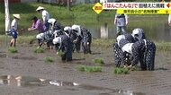 子どもたちが菅笠・はんこたんな姿で田植えに挑戦　田んぼに足取られ…“苦労知る”名物授業【山形発】