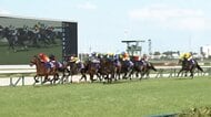 【G1馬3頭が集結！大阪杯・G1】2世代ダービー馬が激突…現役最強馬の頂上決戦！今週注目の「隠れた穴馬」は？