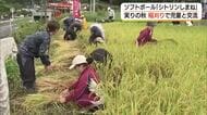 稲刈りも“全力投球”！社会人ソフトボールチームが農作業で児童と交流　雲南市ブランド米をPR（島根）