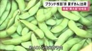 北近畿から”夏野菜”出荷の便り　ブランド枝豆に特産のピーマン