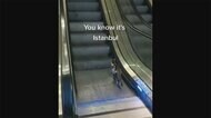 ネコがお礼? 抱えてくれた親切な男性に トルコ・イスタンブール