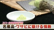 個性的過ぎるワサビのミュージアム 「ツーン」と涙目になるスポットや奇抜なお土産が