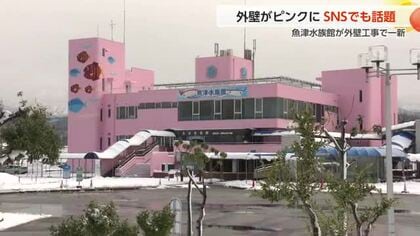 「竜宮城のよう」と話題！魚津水族館が外壁を一新、鮮やかな“さくら色”に変身した理由とは？【動画あり】