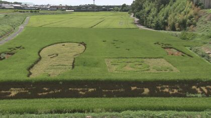 “日本のデンマーク“　田んぼアートで、キャラクター「きーぼー」がお出迎え【愛知発】