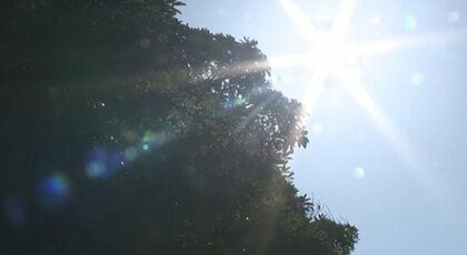 【熱中症】広島県内で１９人救急搬送　三原市コンビニで買い物８０代女性、廿日市市５０代男性など