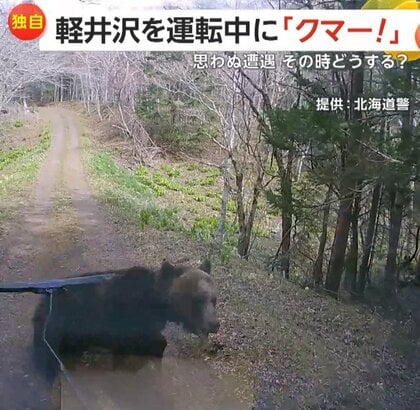 【独自】「クマー！」軽井沢を運転中に“ツキノワグマの親子3頭”　専門家「刺激を与えずに距離を空けて」遭遇時の対処法を解説　長野